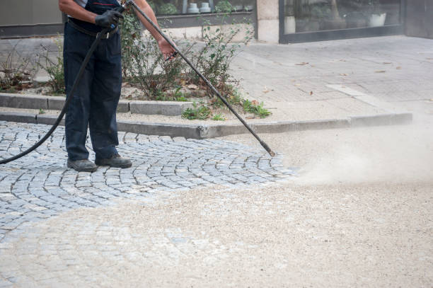 Best Sidewalk and Walkway Cleaning  in Plymouth, MI